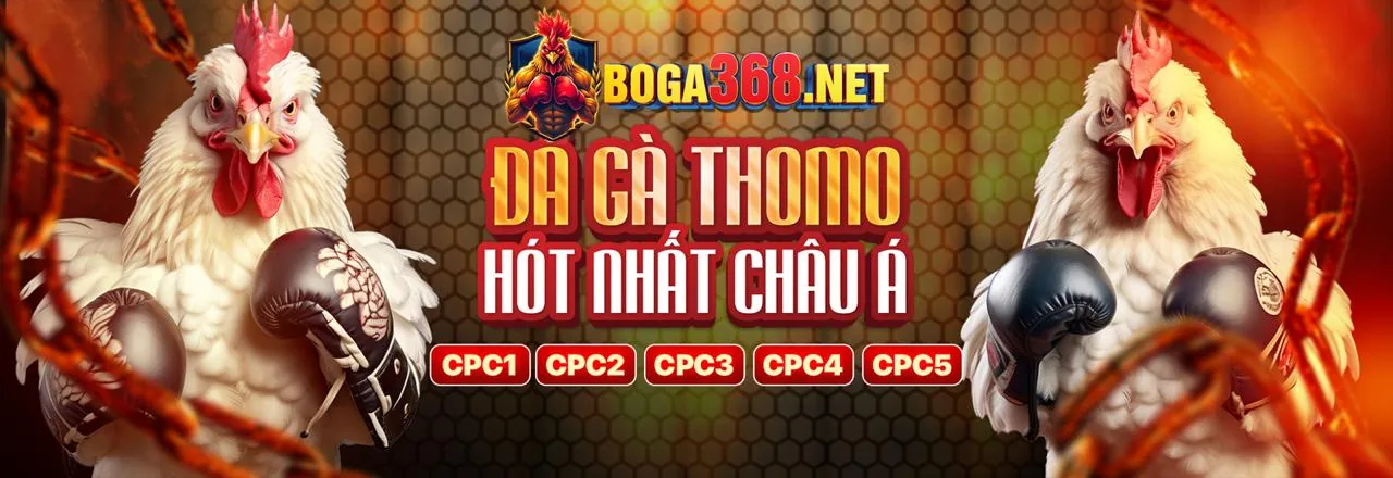 Hình ảnh đại diện 3app link vào an toàn